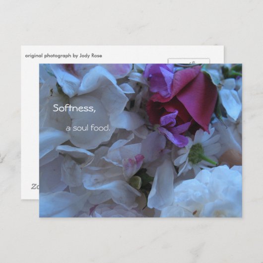 Carte Postale Douceur, une âme, (Devant / Derrière)