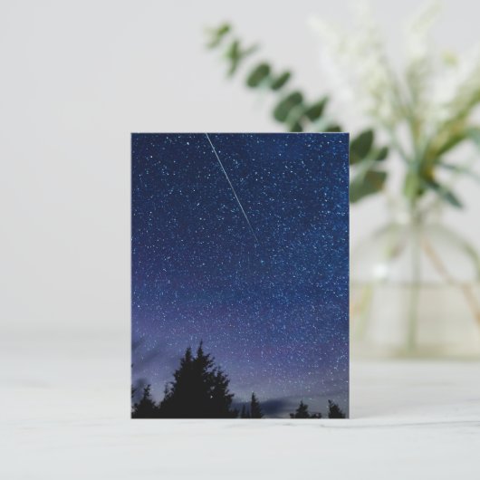 Carte Postale Douche Perseid Meteor (Debout devant)