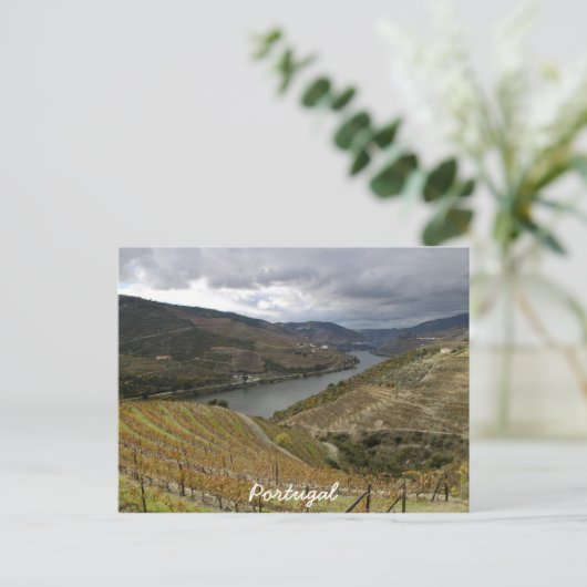 Carte postale Douro (Debout devant)