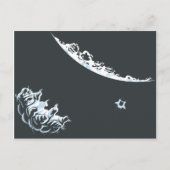 Carte postale d'ours à eau (horizontale) (Devant)