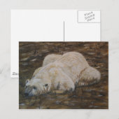 Carte postale d'ours polaire (Devant / Derrière)