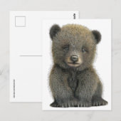 Carte postale d'ourson grizzly (Devant / Derrière)