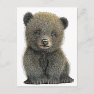Carte postale d'ourson grizzly