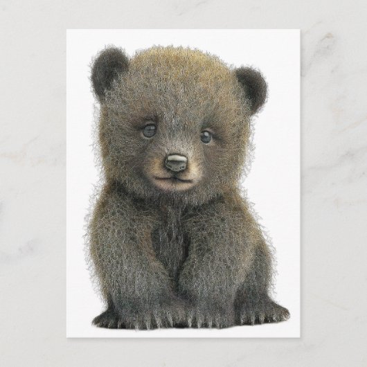 Carte postale d'ourson grizzly (Devant)