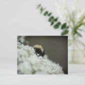 Carte Postale Doux (Debout devant)