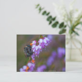 Carte Postale Doux (Debout devant)