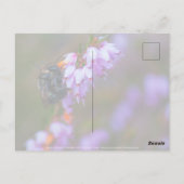 Carte Postale Doux (Dos)