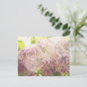 Carte Postale Doux et Violet (Debout devant)