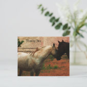 Carte Postale Doux Whisper... (Debout devant)