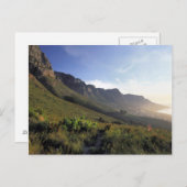 Carte Postale Douze Apôtres, Cap, Cap Ouest (Devant / Derrière)