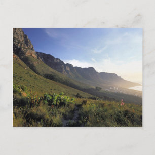 Carte Postale Douze Apôtres, Le Cap, Cap-Occidental