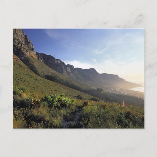 Carte Postale Douze Apôtres, Le Cap, Cap-Occidental (Devant)