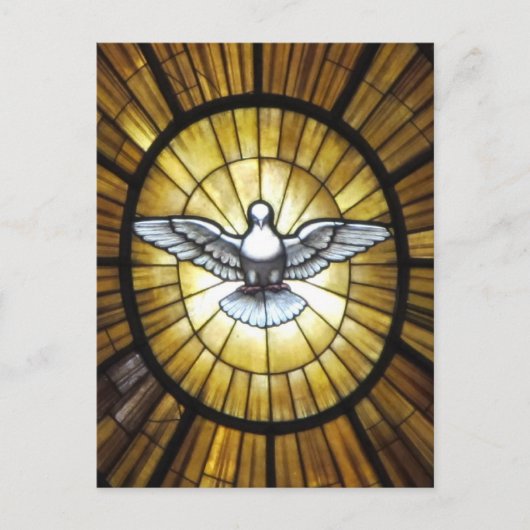 Carte Postale Dove (Devant)