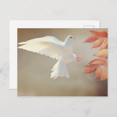 Carte Postale Dove Christian inspirational (Devant / Derrière)