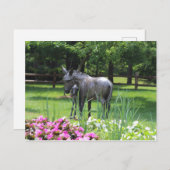 Carte Postale Dow Gardens, Midland, Michigan (Devant / Derrière)