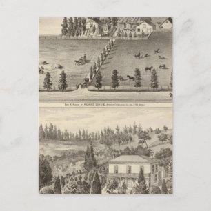 Carte Postale Dowling, Résidences de Marston