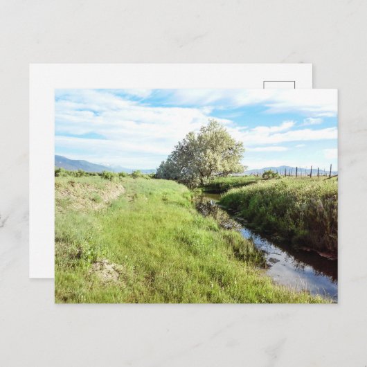 Carte postale Down By the Creek (Devant / Derrière)