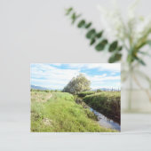 Carte postale Down By the Creek (Debout devant)