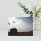 Carte Postale Down on the farm. (Debout devant)