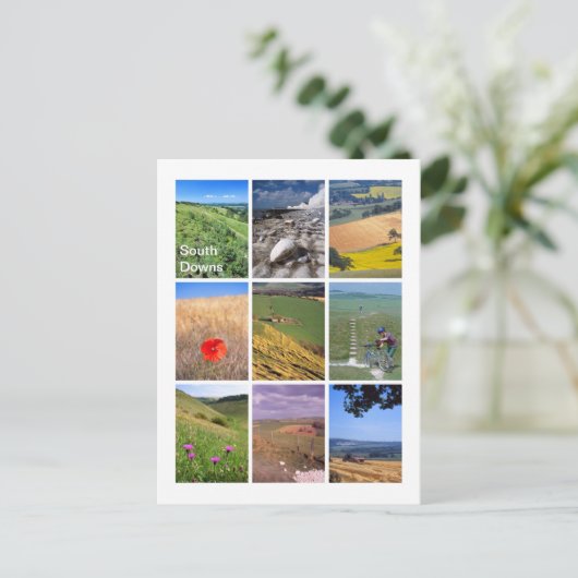 Carte Postale Downs Sud (Debout devant)