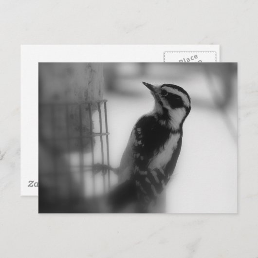 Carte Postale Downy (Devant / Derrière)