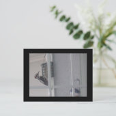 Carte postale Downy Woodpecker (Debout devant)
