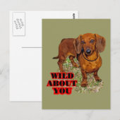 Carte Postale Doxi Lover (Devant / Derrière)