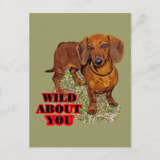 Carte Postale Doxi Lover