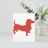 Carte Postale Doxie - Dacshund (Debout devant)
