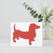 Carte Postale Doxie - Dacshund (Debout devant)