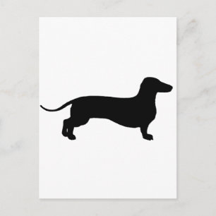 Carte Postale Doxie noire