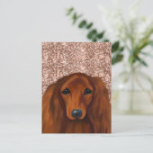 CARTE POSTALE DOXSCHUND ROUGE (Debout devant)