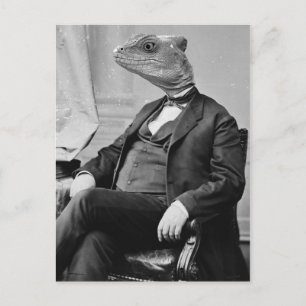 Carte Postale Dr Lizard