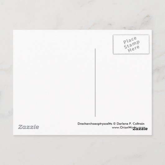 Carte Postale Dracoarchéoptryxceltis (Dos)
