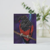 Carte Postale Dracula (Debout devant)