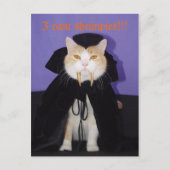 Carte Postale Dracula Bubba (Devant)