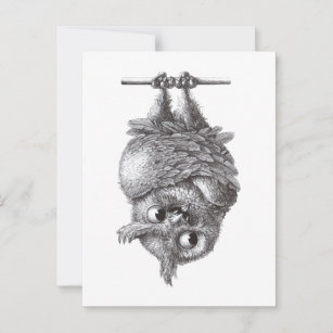 Carte Postale Dracula Owl Cool et si effrayant
