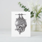 Carte Postale Dracula Owl Cool et si effrayant (Debout devant)
