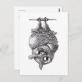 Carte Postale Dracula Owl Cool et si effrayant (Devant / Derrière)
