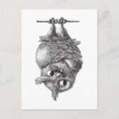 Carte Postale Dracula Owl Cool et si effrayant (Devant)