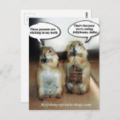 Carte Postale Dragées à la gelée de sucre (Devant / Derrière)