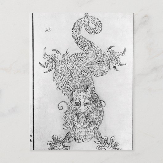 Carte Postale Dragon (Devant)