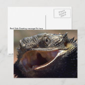 Carte Postale Dragon à capuchon, Australie (Devant / Derrière)