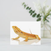 Carte Postale Dragon à tête (Debout devant)