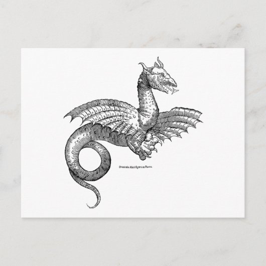 Carte postale Dragon ailé ou Wyvern (Devant)