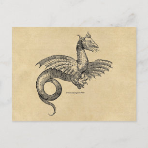 Carte postale Dragon Araigné Sepia
