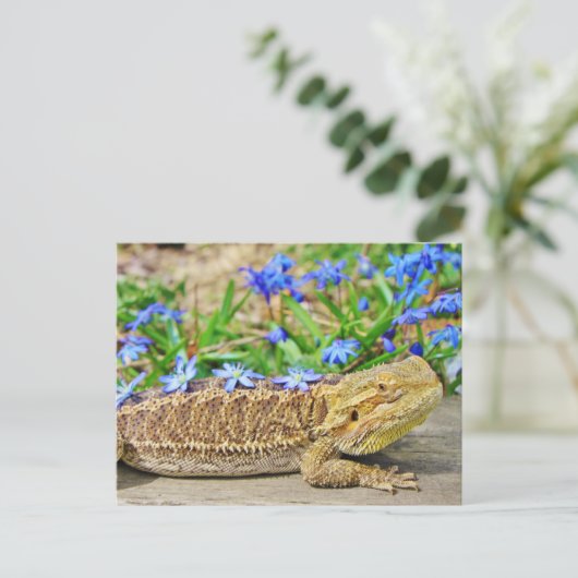 Carte Postale Dragon assif (Debout devant)