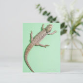 Carte Postale Dragon barbu (Debout devant)