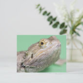 Carte Postale Dragon barbu 2 (Debout devant)