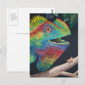 Carte Postale Dragon de Forêt (Devant / Derrière)